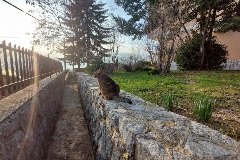 Huis Rubeši, Kastav, 362,33m2