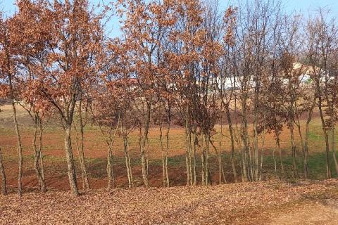 Okolica Pazina, građevinsko zemljište gospodarska zona