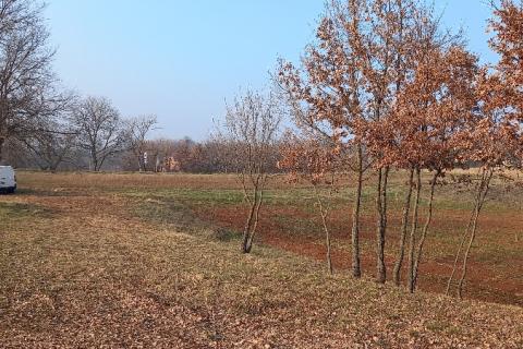 Okolica Pazina, građevinsko zemljište gospodarska zona