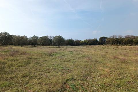 Istra, Štinjan - građevinsko zemljište, pogled more