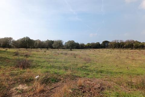 Istra, Štinjan - građevinsko zemljište, pogled more