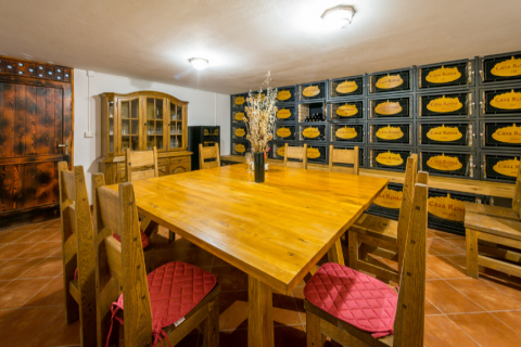 Istra, Motovun - pansion neponovljivog pogleda na Motovun