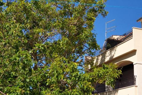 Condo/Apartment Rovinj, 90m2