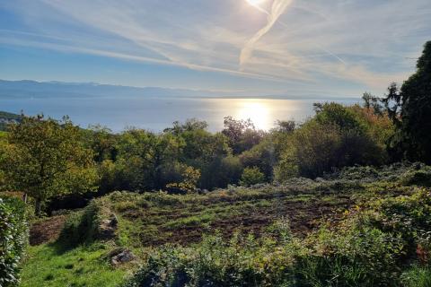 Bauland Poljane, Opatija - Okolica, 17.600m2