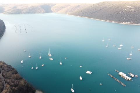 ISTRIA, TRGET – Non-building land of 14,730 m²