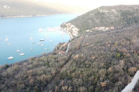 ISTRIA, TRGET – Non-building land of 14,730 m²