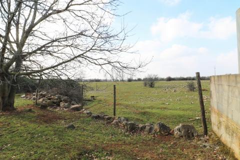 ISTRA, POREČ-seosko imanje s restoranom