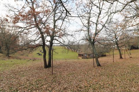 ISTRA, POREČ-seosko imanje s restoranom