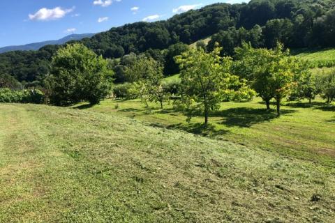 Дом Stubičke Toplice, 500m2