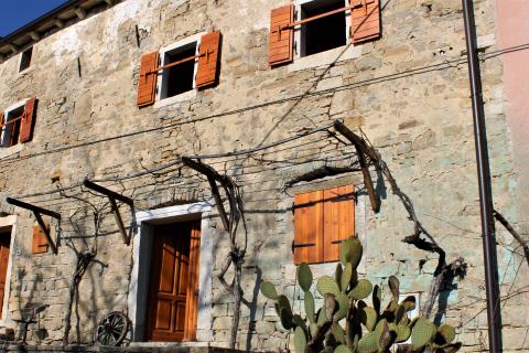 House Pirelići, Oprtalj, 266m2