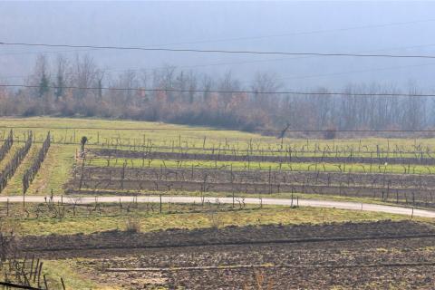 House Pirelići, Oprtalj, 266m2