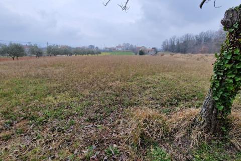 Sutivanac, Barban, 742m2