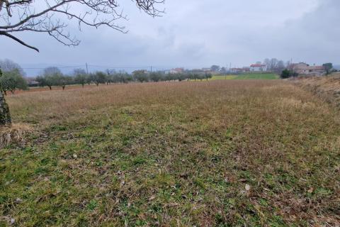 Sutivanac, Barban, 742m2