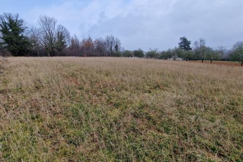 Sutivanac, Barban, 742m2