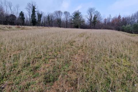 Sutivanac, Barban, 742m2