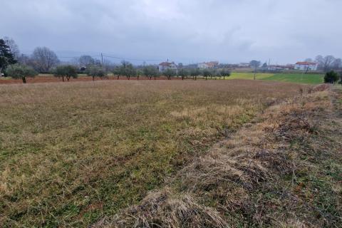 Sutivanac, Barban, 742m2