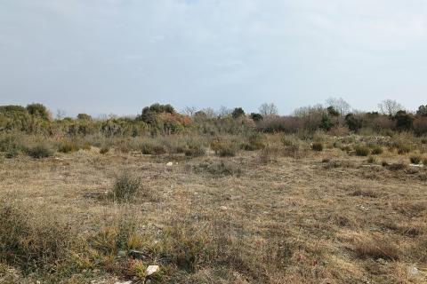 Istra, Peroj, vikend zemljište 950m2