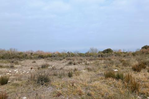 Istra, Peroj, vikend zemljište 950m2