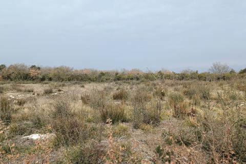 Istra, Peroj, vikend zemljište 950m2