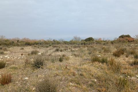 Istra, Peroj, vikend zemljište 950m2