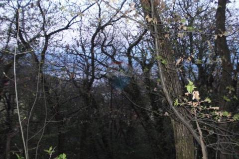 Terreno edificabile Oprić, Opatija - Okolica, 5.203m2