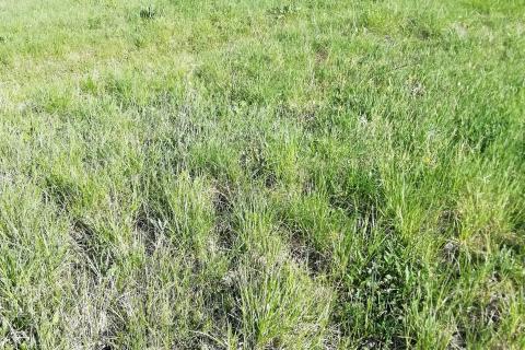 Земельный участок строительного назначения Hambarište, Vrbovsko, 1.286m2