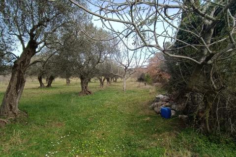 Nicht-strukturelle Land Rovinj, 4.380m2