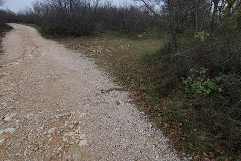 Otok Krk, Vrbnik, poljoprivredno zemljište, 2604 m2