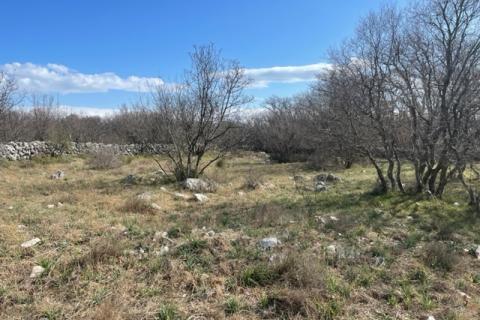 Otok Krk, Vrbnik, poljoprivredno zemljište, 2604 m2