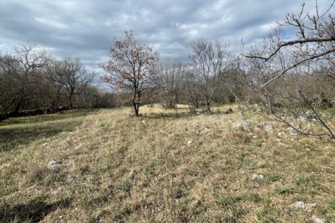 Otok Krk, Vrbnik, poljoprivredno zemljište, 2604 m2