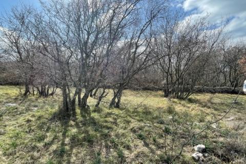 Otok Krk, Vrbnik, poljoprivredno zemljište, 2604 m2