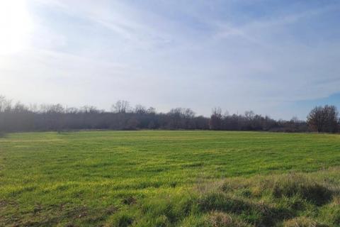 Tar, okolica - poljoprivredno zemljište uz asfaltirani put