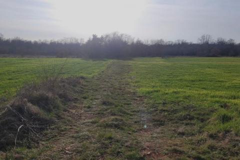 Tar, okolica - poljoprivredno zemljište uz asfaltirani put