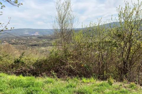 Pićan okolica, kuća s 11000 m2 okućnice