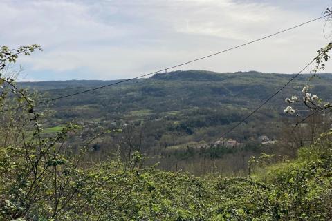 Pićan okolica, kuća s 11000 m2 okućnice
