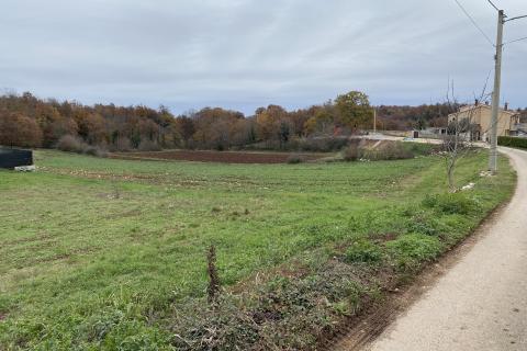 ISTRA, TINJAN - Građevinsko zemljište 1060 m2