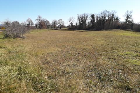 Земельный участок строительного назначения Šegotići, Marčana, 4.855m2