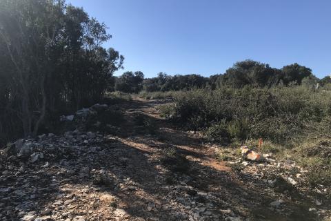 Земельный участок нестроительного назначения Pavićini, Marčana, 412m2