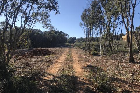 Земельный участок нестроительного назначения Pavićini, Marčana, 412m2