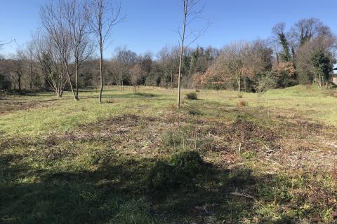 Terreno non edificabile Pavićini, Marčana, 473m2