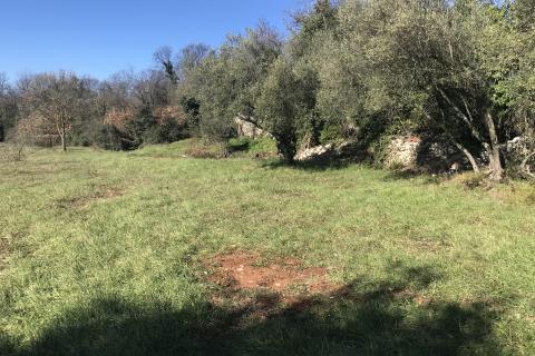 Terreno non edificabile Pavićini, Marčana, 473m2