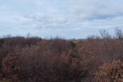 Građevinsko zemljište na atraktivnoj poziciji u Poreču