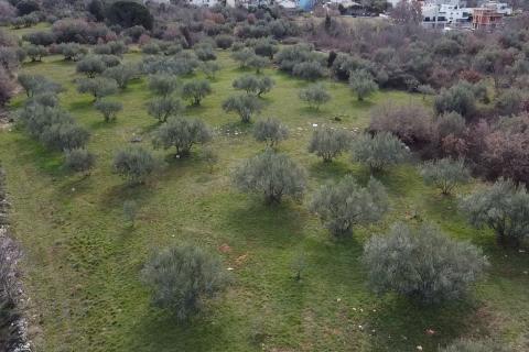 Građevinsko zemljište na atraktivnoj poziciji u Poreču