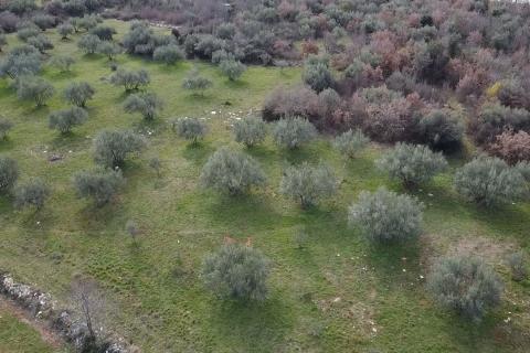 Građevinsko zemljište na atraktivnoj poziciji u Poreču