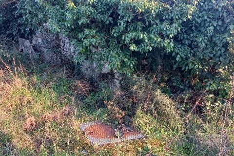 Istra, Fažana, zemljište s maslinikom