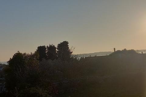 Istra, Fažana, zemljište s maslinikom