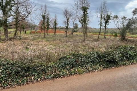 Tar, Vabriga - zemljište ugostiteljsko -turističke namjene