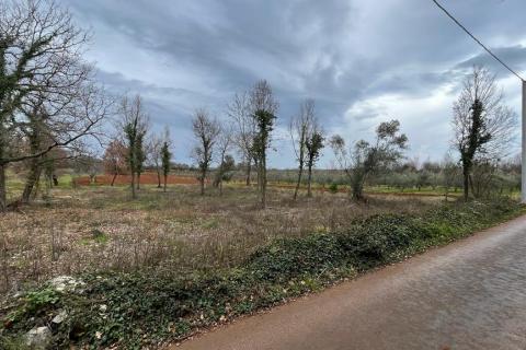 Tar, Tar-Vabriga, 503m2