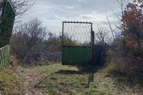 Istra, okolica Vodnjana, maslinik na 2 čestice