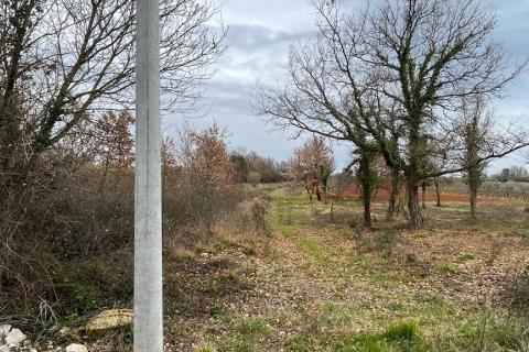 Tar, Tar-Vabriga, 503m2